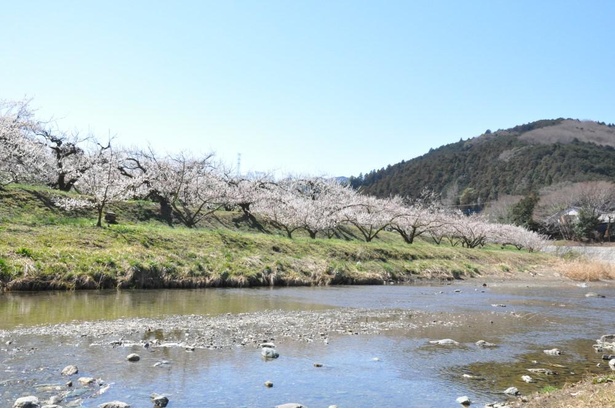 遠くから全体を見渡すのもおすすめ