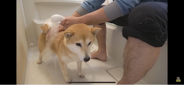お湯でしっかり汚れを流してもらいます