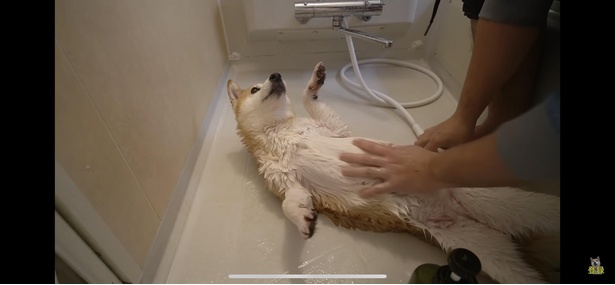 「気持ちいいです～」