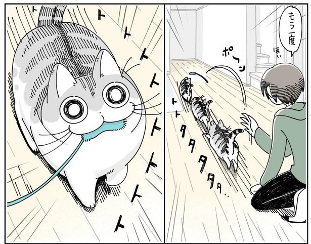 「取りに行ったり来させたり」07