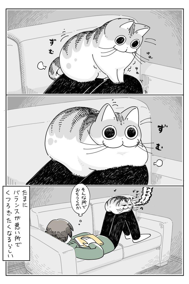 「不思議な所でくつろぐネコ」