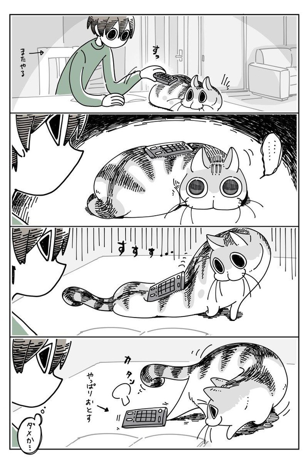 「ネコに乗せたくなる」