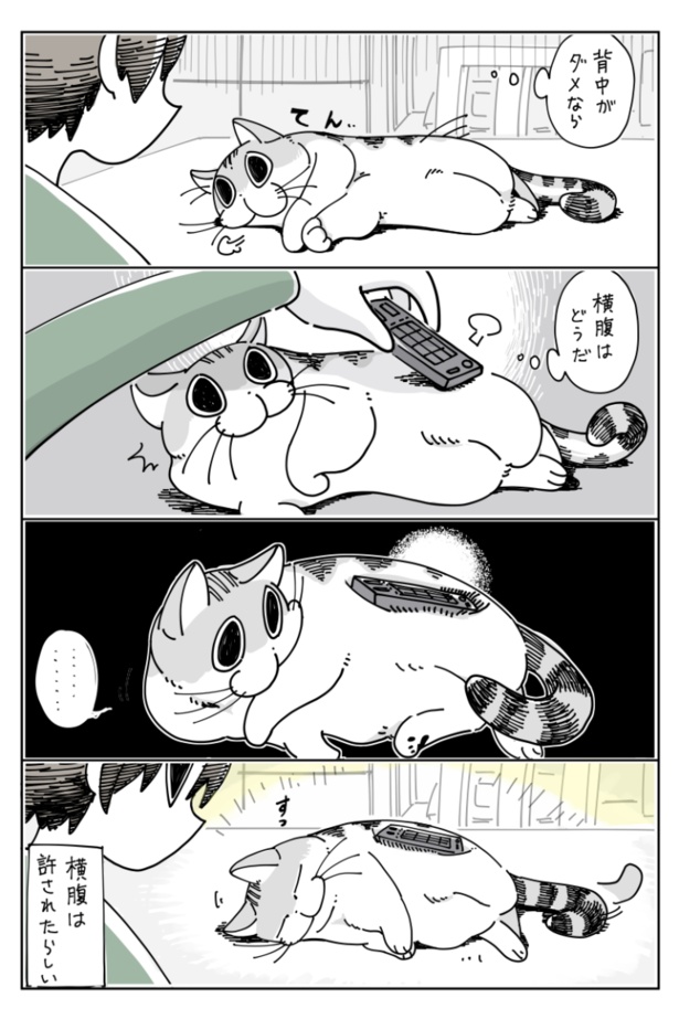 「ネコに乗せたくなる」