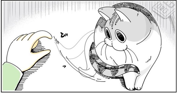 「しっぽを真っ直ぐにしたい」05