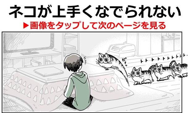 【画像】“猫あるある”漫画を読む→(全36話)