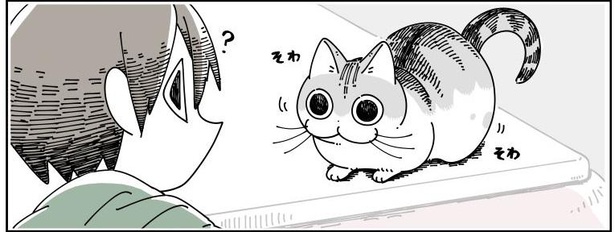 「ネコが上手くなでられない」02