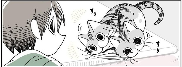「ネコが上手くなでられない」03