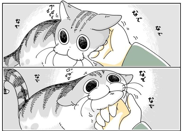 「ネコが上手くなでられない」05
