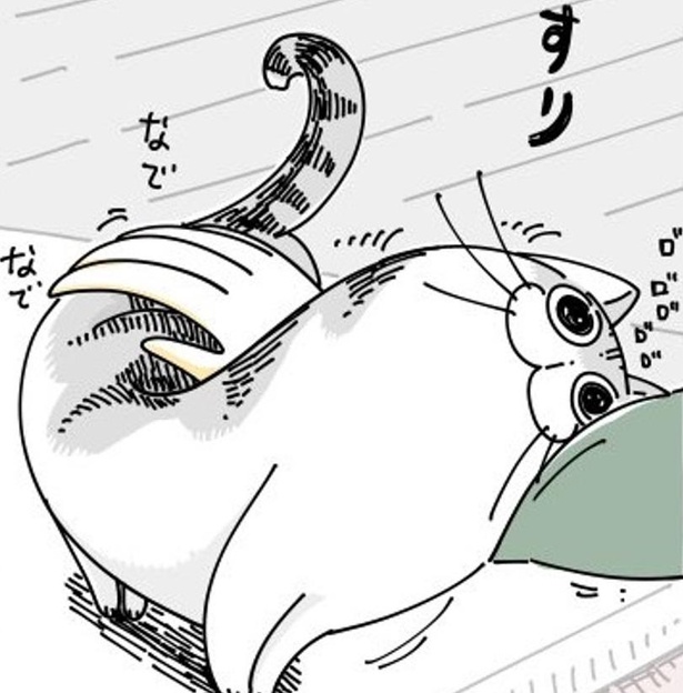 「わかりみが深い」“猫あるある”漫画がSNSで話題に