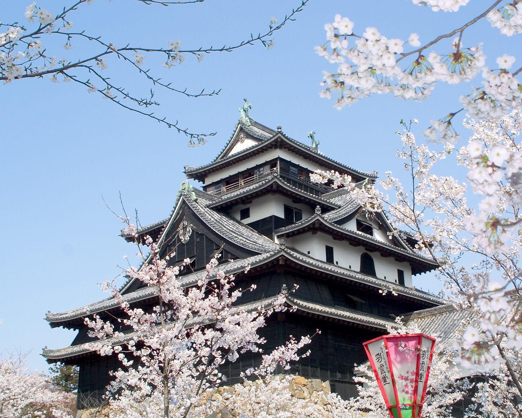 日本さくら名所100選にも選ばれた絶景、島根県の松江城山公園で桜が見頃は？
