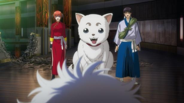 『銀魂 THE FINAL』場面写真