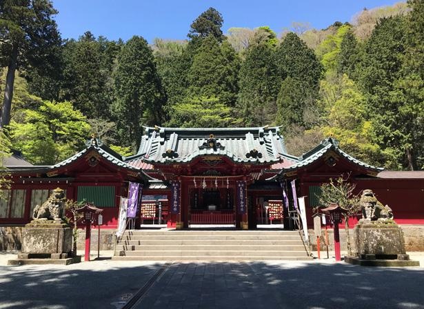 箱根神社御社殿