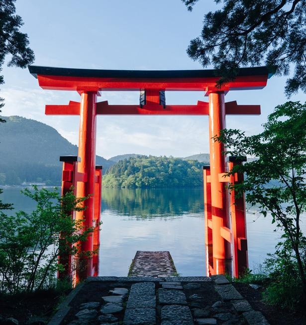 箱根神社の見どころ徹底ガイド 関東総鎮守の歴史ある神社をお参りしよう コロナ対策情報付き ウォーカープラス