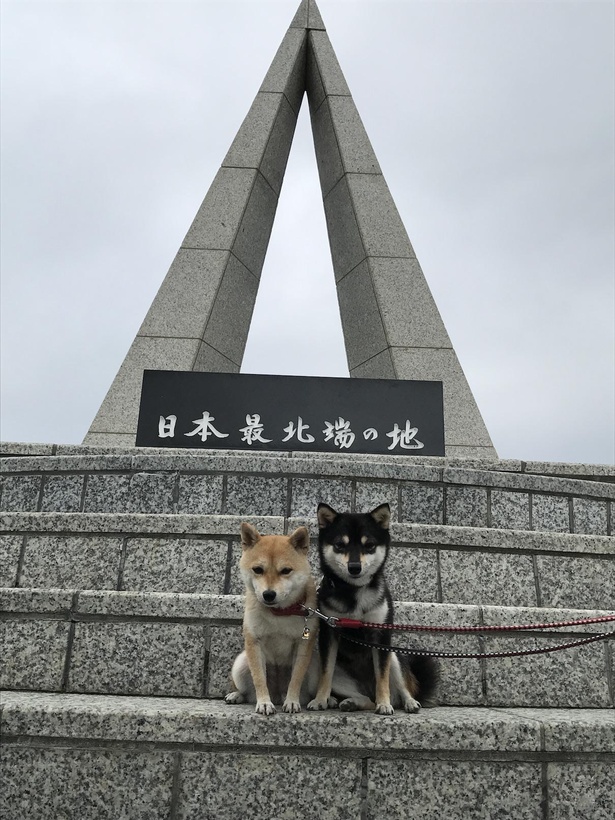 宗谷岬の記念モニュメント前で撮影(2016年)