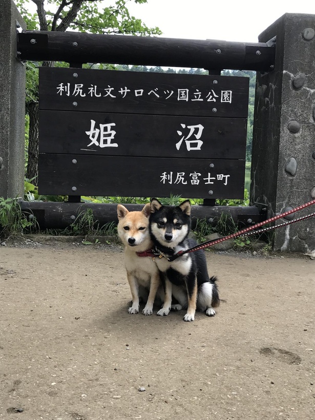 2017年には北海道の絶景スポットにも訪れた2匹