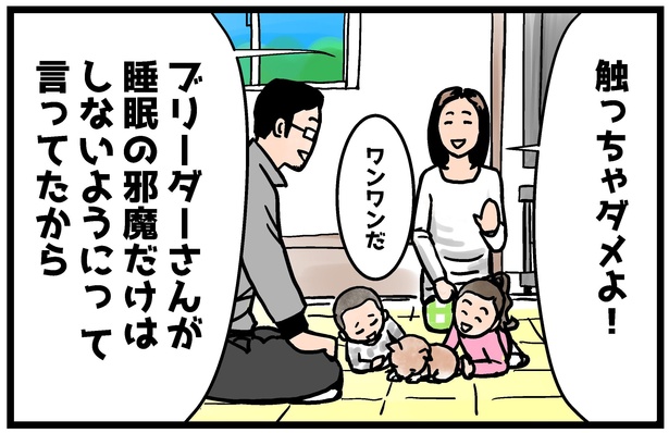 柴犬小春ちゃんの4コマ漫画1話の2