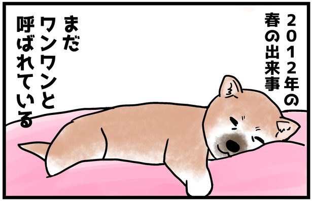 柴犬小春ちゃんの4コマ漫画1話の4
