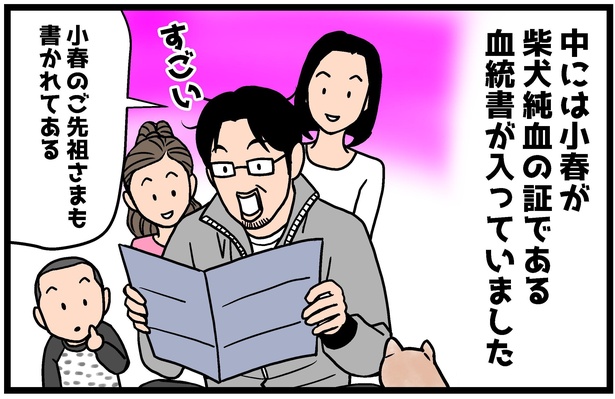 柴犬小春ちゃんの4コマ漫画4話の2