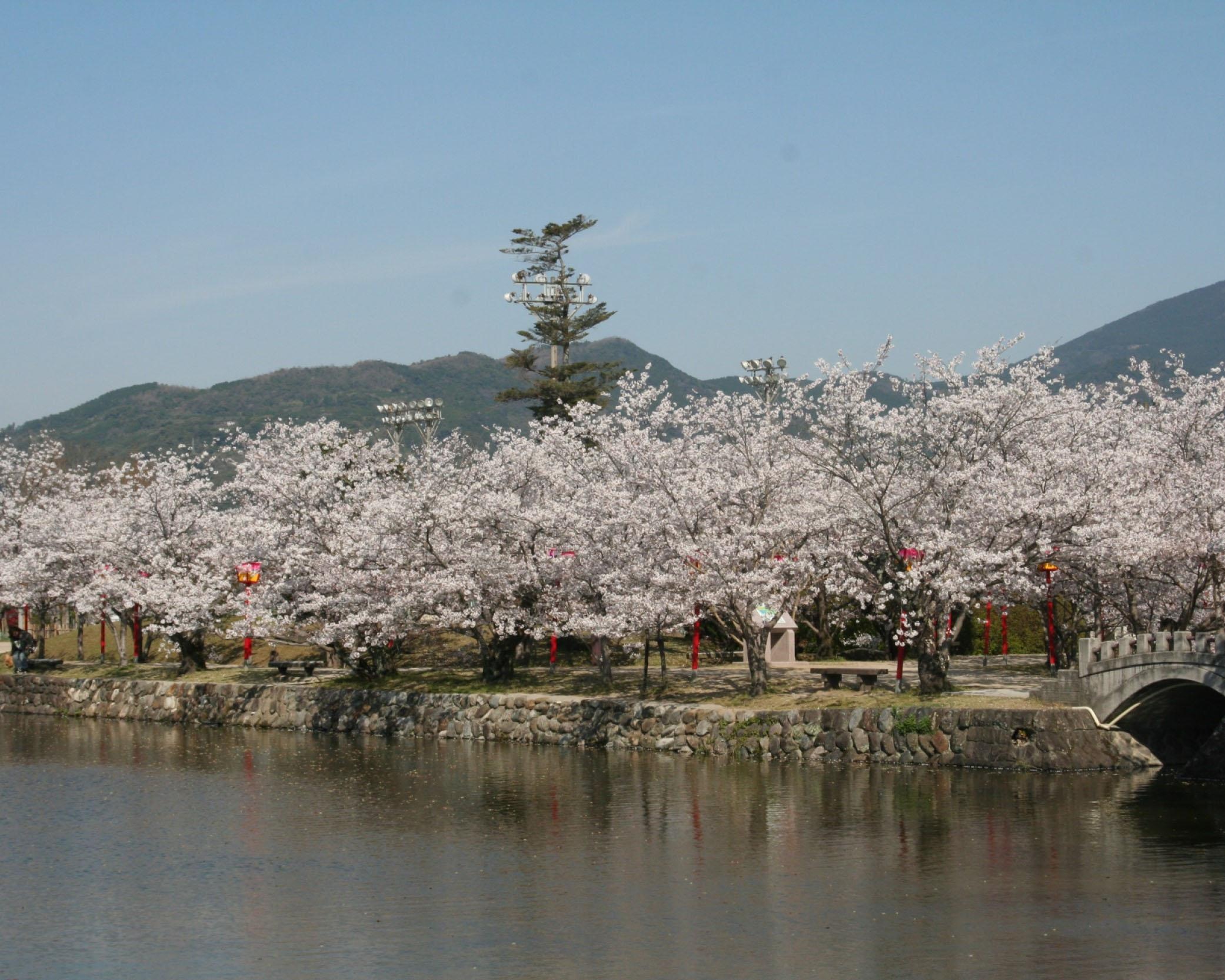 歴史ある公園で桜を満喫、佐賀県小城市にある小城公園の桜の見頃は？