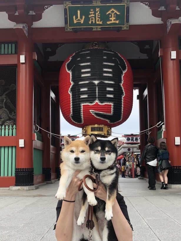 浅草の定番スポットでは、渋い表情でキメる！