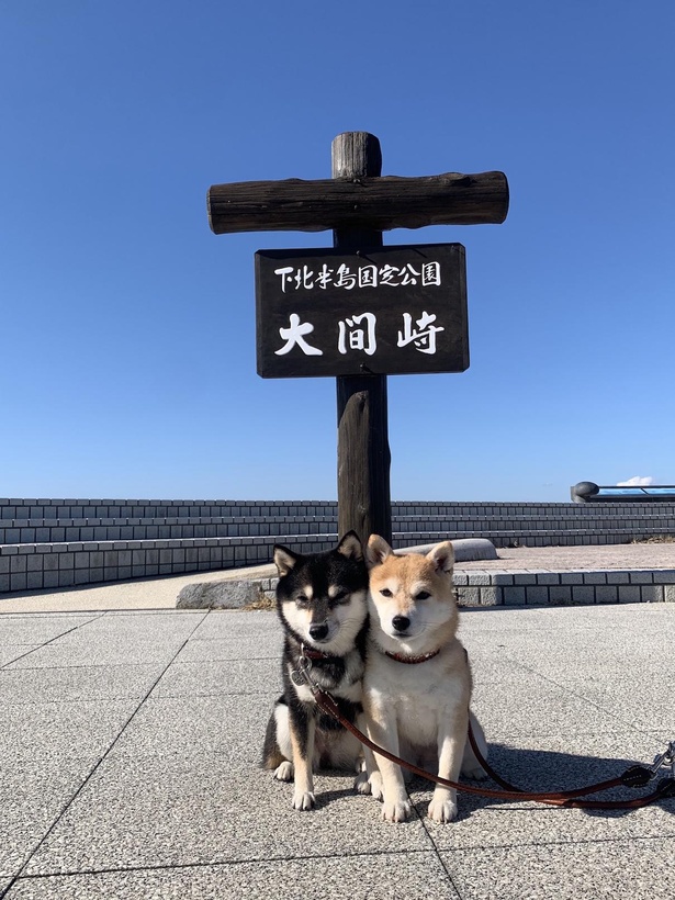 澄んだ青空がキレイな青森県の大間崎へ
