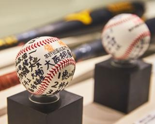 期間限定のセンバツ企画展が開催中！親子で楽しめる「甲子園歴史館」へ