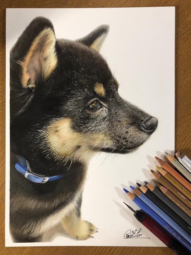 オレオ先生を描いた一枚。今後は犬の絵も増えるかも…！？