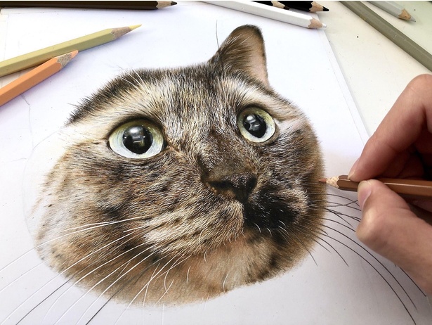 色鉛筆画 猫の立体絵(原画)-