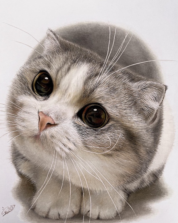 X旧Twitte色鉛筆画 猫の立体絵(原画) - 絵画/タペストリ