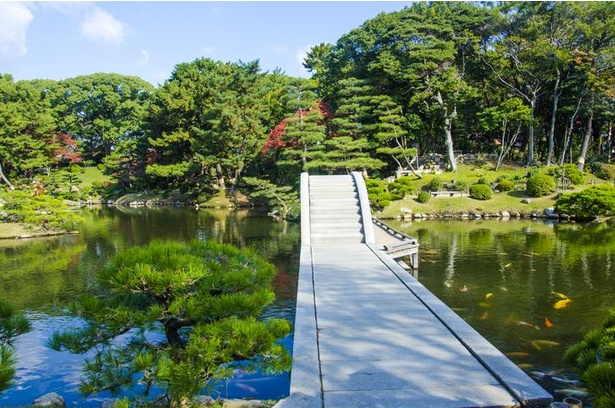 【写真】広島のソメイヨシノ標本木がある縮景園