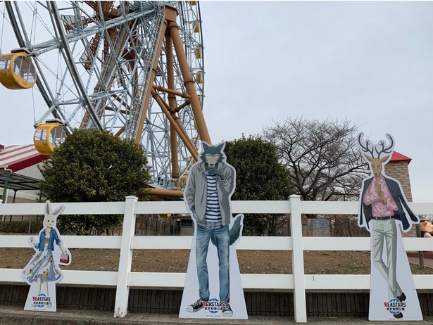 Tvアニメ Beastars コラボイベントが埼玉県南埼玉郡の東武動物公園で開催中 描き下ろしイラストも展示 ウォーカープラス
