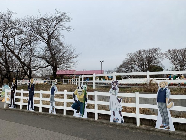 展示パネルはたくさんあるので、逃さず撮影しておきたいところ