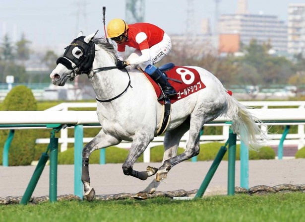 2013～15年に阪神大賞典(G2)を3連覇したゴールドシップ。3月19日(日)のフリーパスの日には「ゴールドシップ号クリアファイル」がもらえる