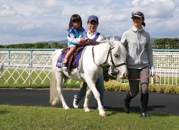 馬との触れ合いは競馬場ならではの楽しみ。子供たちはポニーの乗馬体験ができる(身長130センチ以下の子供限定)