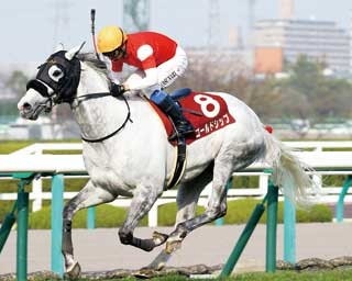 レースもイベントも楽しめる！注目の「阪神“春”競馬」
