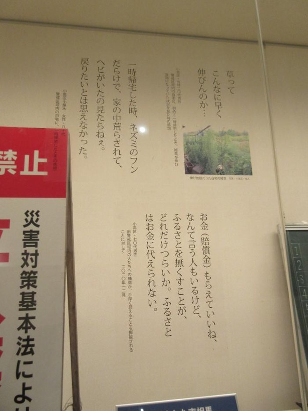 住民のコメントも展示されている
