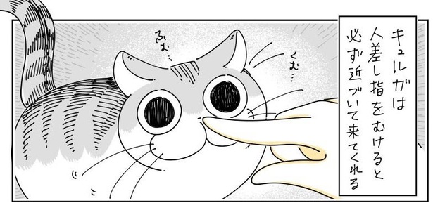 「人差し指を嗅がずにはいられない」07