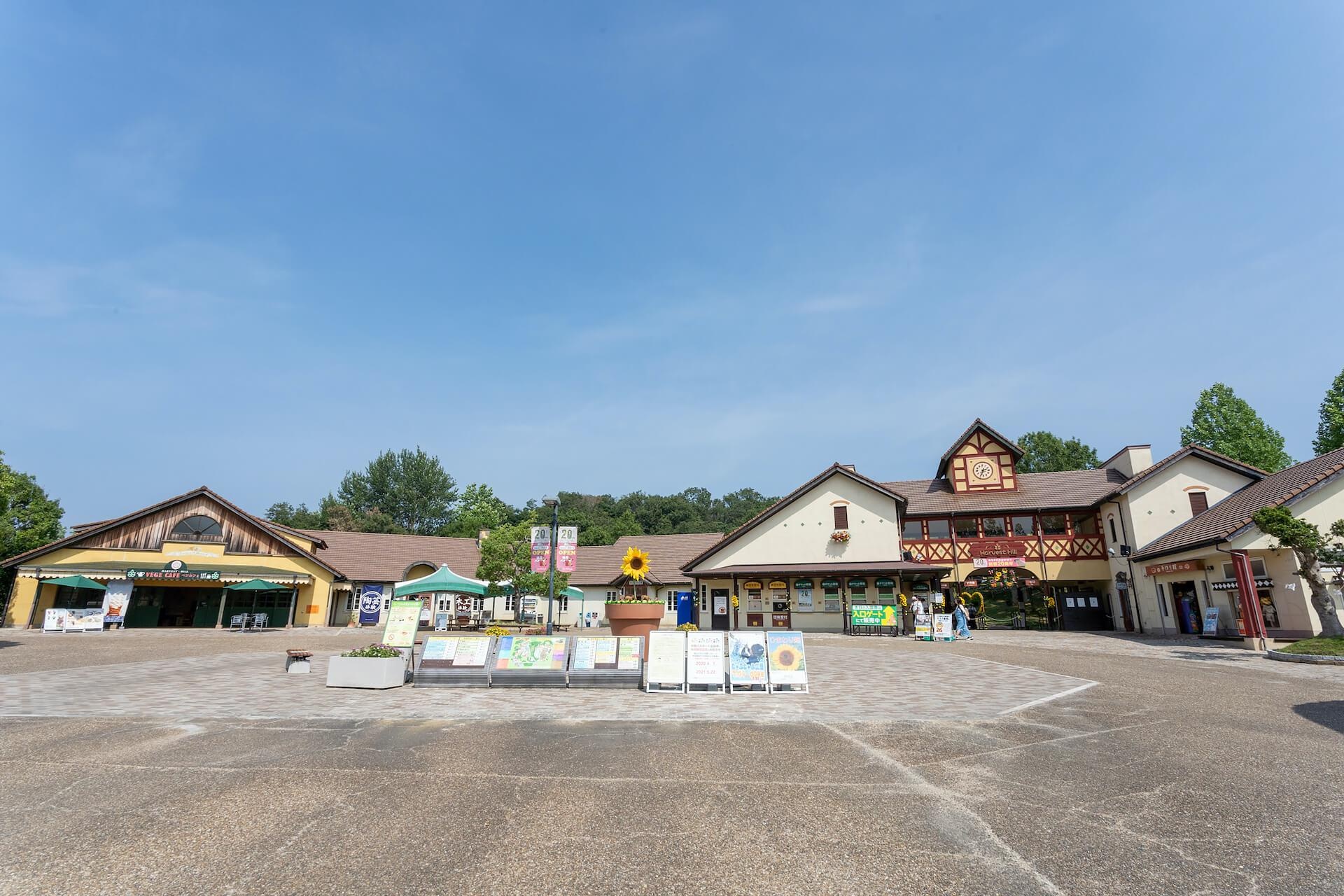 農業公園で遊んだあとは、「イオンモール堺北花田」でお腹いっぱい食べ