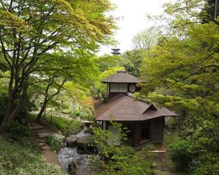 新緑の庭園を鑑賞、神奈川県横浜市の三溪園で「新緑の遊歩道開放」が開催中