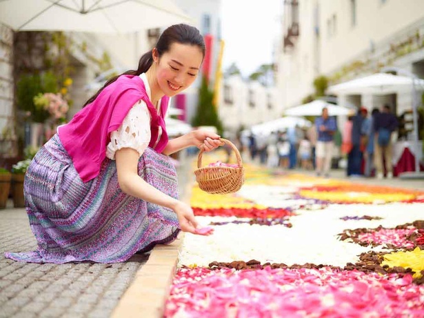 日本屈指の産地から届くチューリップやガーベラを絨毯のように敷き詰める「フルールキーパー」