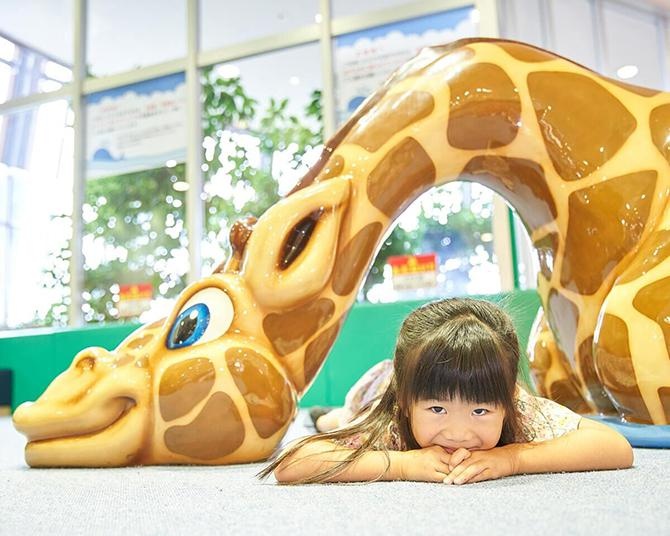 子どもが喜ぶランチを満喫したら「伊丹市昆虫館」で知的好奇心を育もう