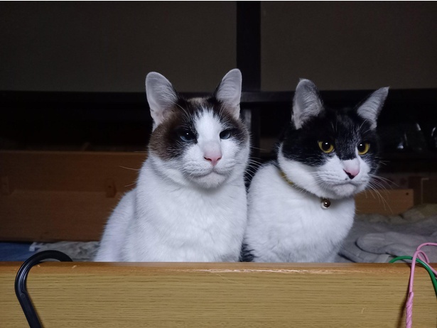 眠ってないですよ？