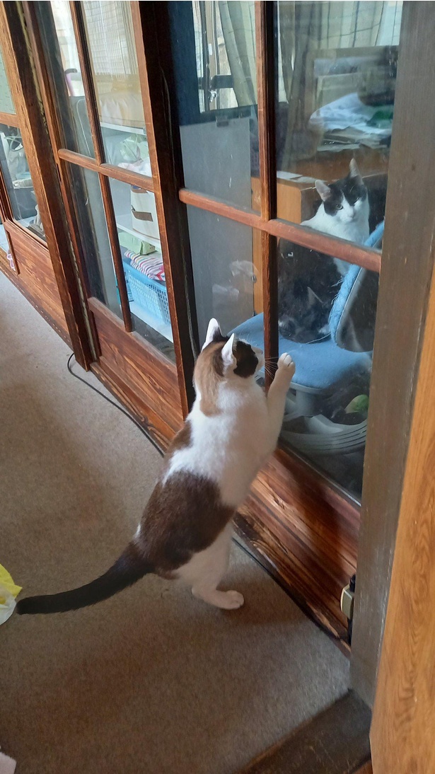 入れてほしいんです
