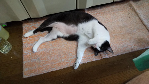 普段はこんな感じです