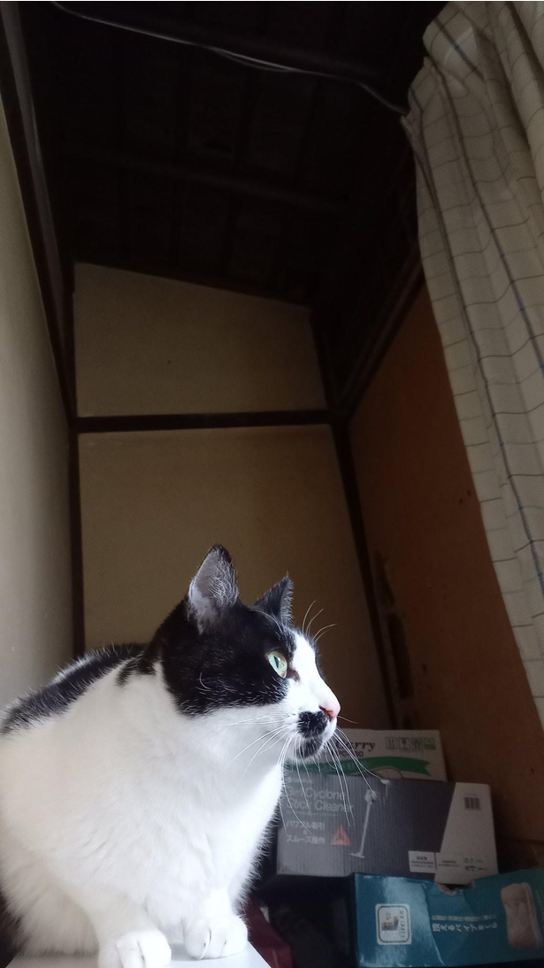 何見てるの？