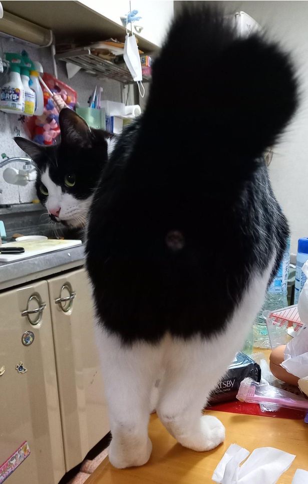 お尻がぶわっ！