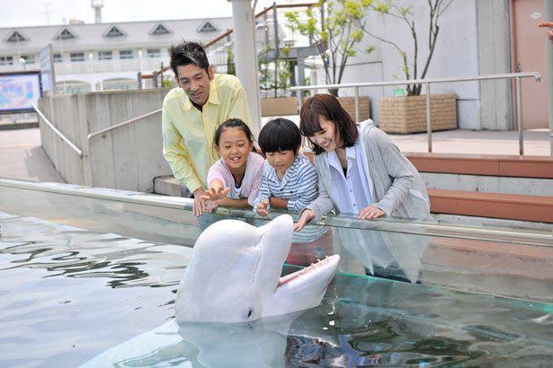 関東の動物園 水族館を徹底攻略記 コロナ対策情報付き ウォーカープラス