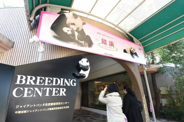 ジャイアントパンダの繁殖施設「ブリーディングセンター」へ