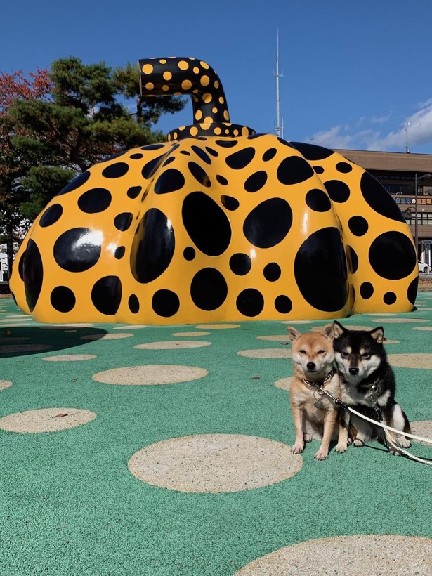 存在感抜群のアート作品に、興味津々だったとか