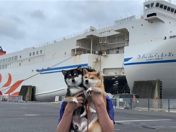 フェリーに乗って北海道へ出発！